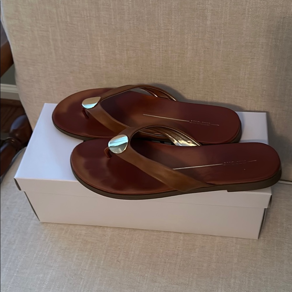 DSW brown/gold flip flops
